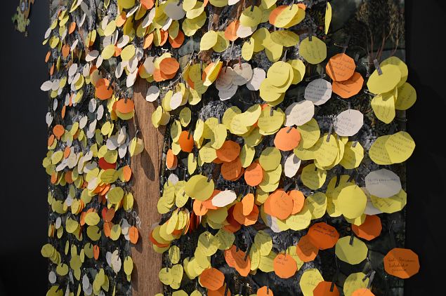 V�rviline ja vilju t�is suvelugemispuu 