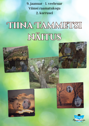 Tiina Tammetsi nitus